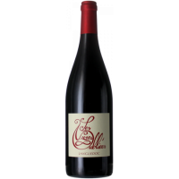 Autour du Cinsault, 2024 (Rouge) - Domaine Les Vignes Oubli&eacute;es