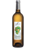 L'Ecume (Blanc,Bouteille 75cl) - DOMAIE PIETRI GERAUD