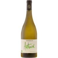 ANTOINE, 2025 (Blanc,Bouteille 75cl) - Domaine Py