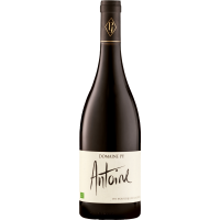 ANTOINE, 2023 (Rouge,Bouteille 75cl) - Domaine Py