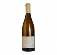 Mortiès blanc, 2023 (Blanc,Bouteille 75cl) - Domaine de Mortiès