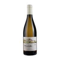 Mouscaillo blanc, 2021 (Blanc,Bouteille 75cl) - Domaine de Mouscaillo