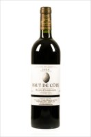 Saut de Cote, 2017 (Rouge,Bouteille 75cl) - Alain Chabanon