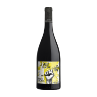 Salut de la Terre, 2020 (Rouge,Bouteille 75cl) - Cave de Castelbarry Salut de la Terre, 2020 (Rouge,Bouteille 75cl) - Cave de Castelbarry
