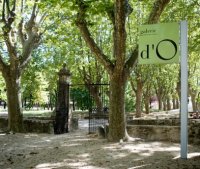 Ô millésimes Ô millésimes