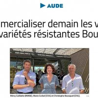 Journée technique sur les cépages Bouquet