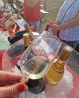 Les Estivales de Villeneuve les Maguelone 2023
