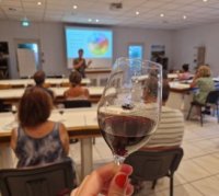 Les Estivales de Saporta 2023 Les Estivales de Saporta 2023
