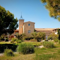 maison des vins du languedoc saporta