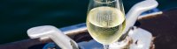 L'Accord Inattendu : un repas gastronomique 100% AOP Picpoul de Pinet sans aucun produit de la mer ! 