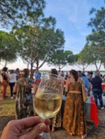 In Vino Ballestras- Palavas Les Flots 2024