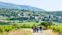 Vins, Vignes et Terroirs : Saint Saturnin 2026