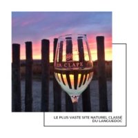 Narbo Vina - Le Vendredi 15 Mars au musée Narbo Via Narbo Vina - Le Vendredi 15 Mars au musée Narbo Via