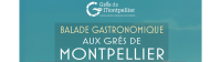 Balade Gastronomique Aux Gr&eacute;s de Montpellier 2026