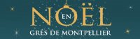 Affiche Salon de noel des GDM