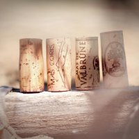 vins vignes et terroirs cabrieres © aoc languedoc agnes lescombes vins vignes et terroirs cabrieres