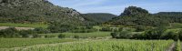 terroir LANGUEDOC 