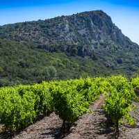 image terroir