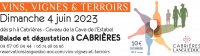 Vins, Vignes et Terroirs : Cabrières 2023