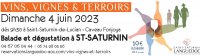 Vins, Vignes et Terroirs : Saint Saturnin 2023