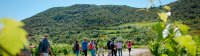 cabrieres balade vins vignes et terroirs