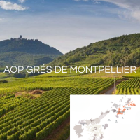 AOC GR&Eacute;S DE MONTPELLIER