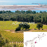 D&eacute;couvrez nos Vins AOP LA CLAPE