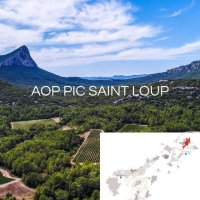 D&Eacute;COUVREZ NOTRE SELECTION PIC SAINT LOUP