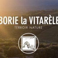 borie la vitarele