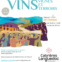 Vins, Vignes et Terroirs : Cabrières 2025