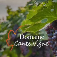 cante vigne cante vigne