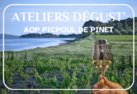 L'AOP Picpoul de Pinet