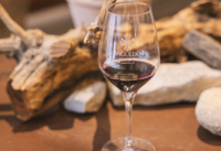 Initiation &agrave; la d&eacute;gustation