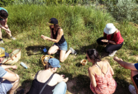 De la vigne &agrave; l'assiette : cueillette, cuisine & accords mets-vins