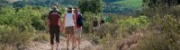 Circulade Vigneronne en Terrasses du Larzac