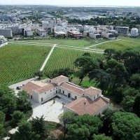 Vendanges Solidaires