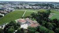 Vendanges Solidaires