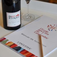 ecole des vins languedoc