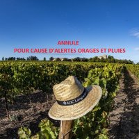 Vendanges Solidaires