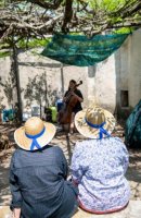 Retour sur la Balade des Grés de Montpellier © olivier lebaron Retour sur la Balade des Grés de Montpellier