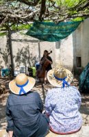 Retour sur la Balade des Grés de Montpellier