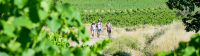 Circulade Vigneronne en Terrasses du Larzac 2024
