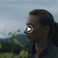 film vigneron languedoc