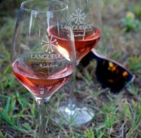 Le Brunch : Le Rosé ramène sa Fraise Le Brunch : Le Rosé ramène sa Fraise