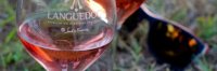 Le Brunch : Le Rosé ramène sa Fraise Le Brunch : Le Rosé ramène sa Fraise