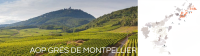 AOC GR&Eacute;S DE MONTPELLIER
