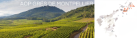 D&eacute;couvre nos Vins AOC Gr&eacute;s de Montpellier