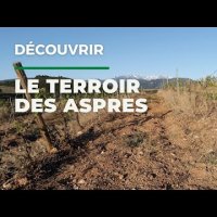 AOC Les Aspres