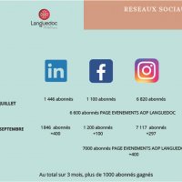 Progression des réseaux sociaux