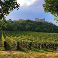 CHATEAU VILLEMAJOU